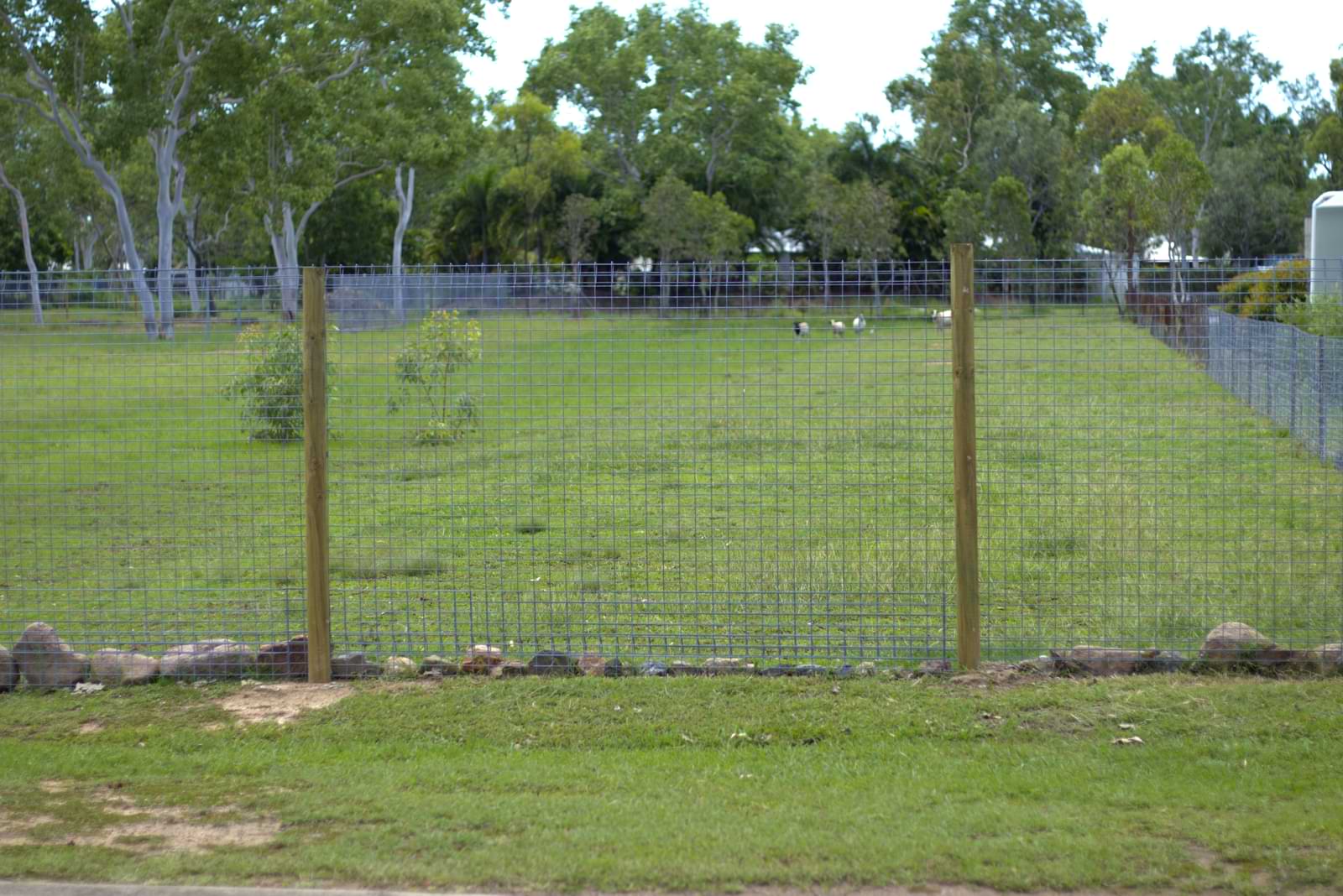 mesh wire fencing townsville